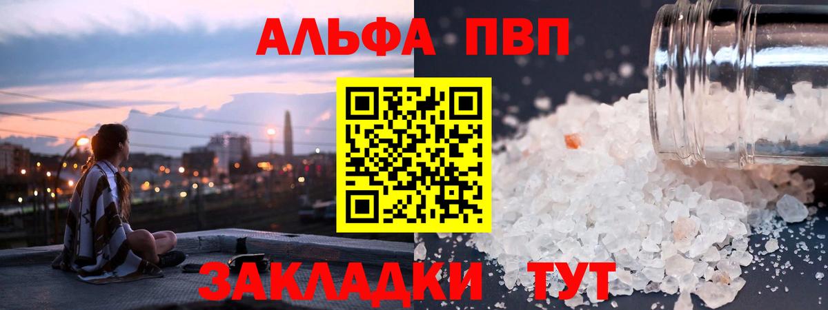 Альфа ПВП СК КРИС Нальчик