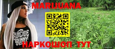 сатива Усть-Джегута