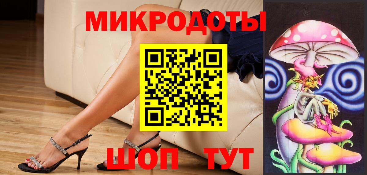 Галлюциногенные грибы Psilocybe Нальчик