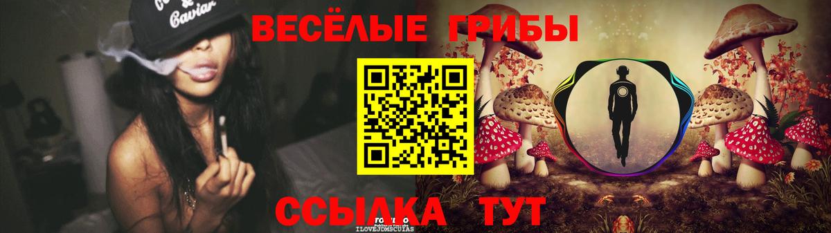 Нальчик  Псилоцибиновые грибы ЛСД  Вход с VPN 