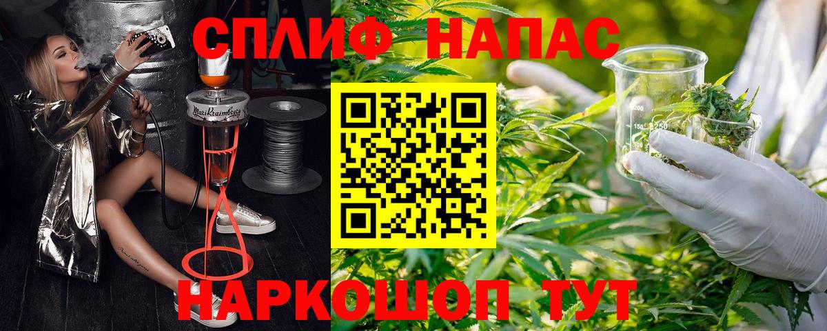 МАРИХУАНА сатива Нальчик